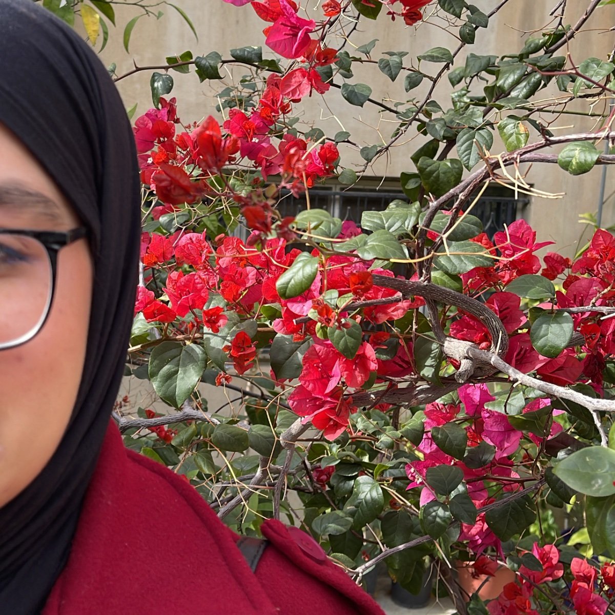 Afnan Alshraideh